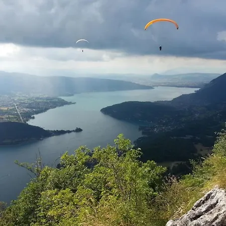 La Roseraie - 100m From * Annecy